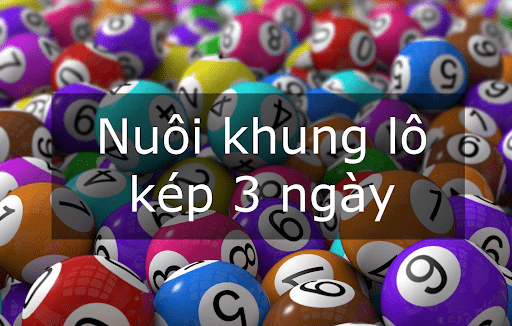 lo-cam-4 Nuôi khung ít nhất trong vòng 3 ngày thay vì nuôi 1 ngày để có tỷ lệ thắng cao